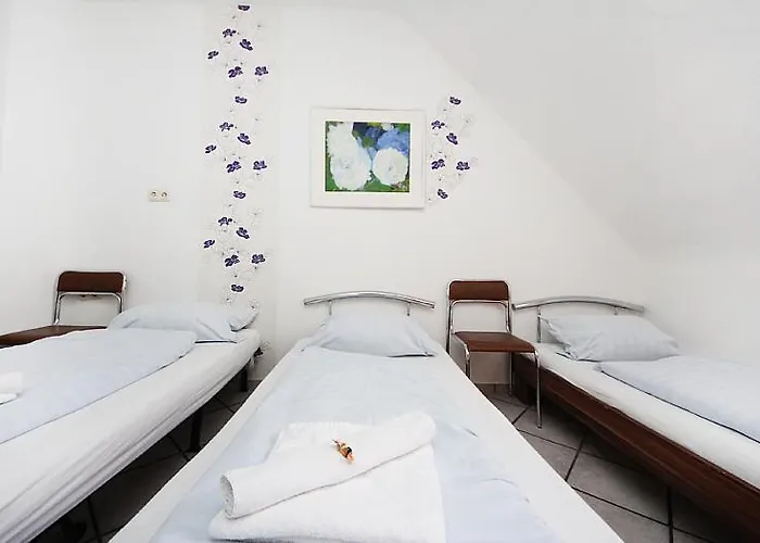 Storch Ii 3* كولونيا