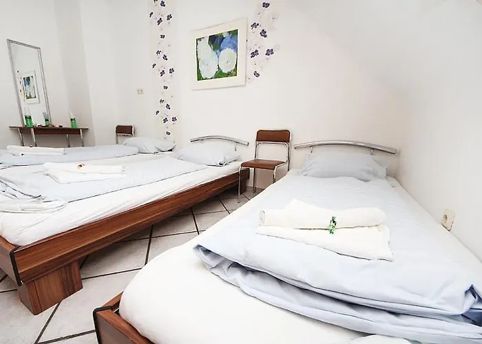 Storch Ii 3* كولونيا